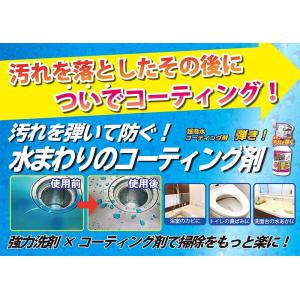 Tipo s 超撥水剤 弾き! 防汚コーティン...の詳細画像2