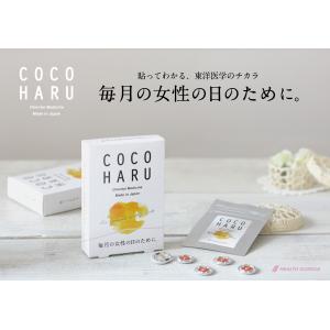 ミラクルディスペンサ12 ツボ 指圧 足ツボ 経絡 肩のつらさ 腰痛 膝