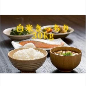 令和7年度新米 茨城県産 ふくまる 30kg ...の詳細画像5