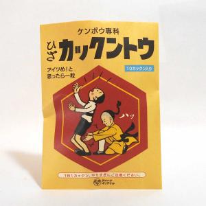 バレンタインデー 面白袋チョコギフト「新 ケンポウ専科 カックントウ」｜tarohana