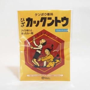 バレンタインデー 面白袋チョコギフト「新 ケン...の詳細画像5