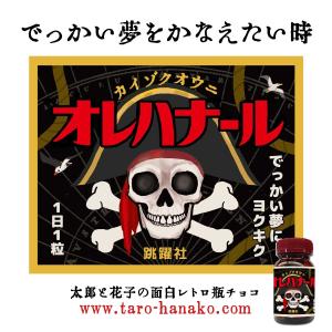 面白レトロ瓶チョコ「オレハナール」 受験生に ...の詳細画像1