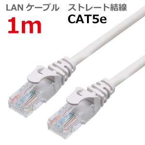 LANケーブル ランケーブル 1M CAT5E ストレート ライトグレー CAT5E RJ45プラグ...