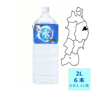 岩泉 龍泉洞の水 500ml ペットボトル 24本入 ウォーター 天然水 中硬水