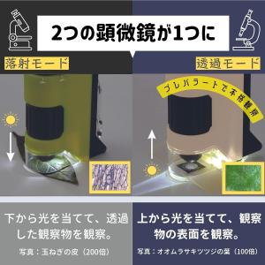 レイメイ藤井 顕微鏡 ハンディ顕微鏡 DX [...の詳細画像1