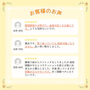 体幹開脚ストレッチクッション / 体幹 バラン...の詳細画像4