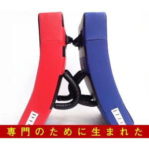 キックボクシング カーブキックミット スポーツ 筋トレ