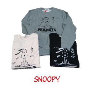KITH Peanuts Doghouse Hoodie スウェットパーカー KITH × Peanuts Doghouse Hoodie スヌーピー フーディー