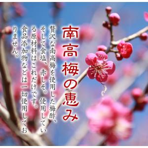 梅酢 無添加『赤梅酢3本セット』 うめ酢 しそ...の詳細画像2