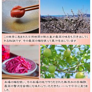 梅酢 無添加『赤梅酢3本セット』 うめ酢 しそ...の詳細画像3