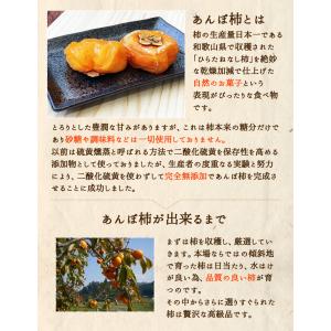 あんぽ柿 干し柿 紀州あんぽ柿 長寿柿 60g...の詳細画像2