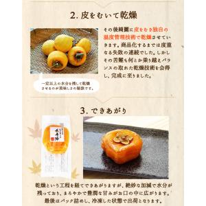あんぽ柿 干し柿 紀州あんぽ柿 長寿柿 60g...の詳細画像3
