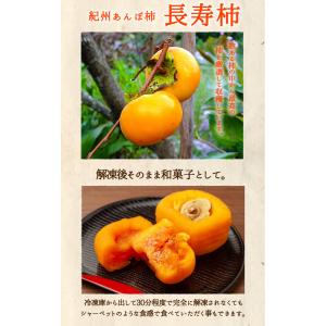 あんぽ柿 干し柿 紀州あんぽ柿 長寿柿 60g...の詳細画像4