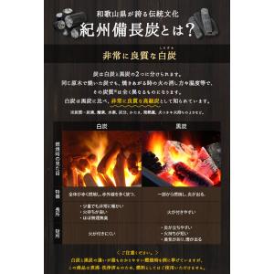 ワケあり紀州備長炭 爆買の詳細画像2