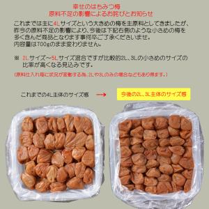 梅干し はちみつ 幸せのはちみつ梅700g 無...の詳細画像2