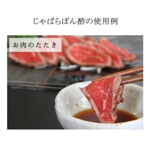 ポン酢 無添加 じゃばらぽん酢3本セット 27...の詳細画像4