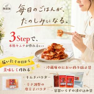 キムチ 無添加 キムチ革命 キムチの素 粉 粉...の詳細画像1
