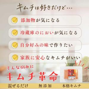 キムチ 無添加 キムチ革命 キムチの素 粉 粉...の詳細画像2