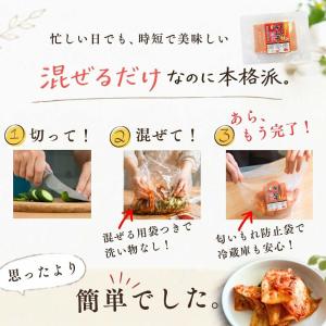 キムチ 無添加 キムチ革命 キムチの素 粉 粉...の詳細画像3