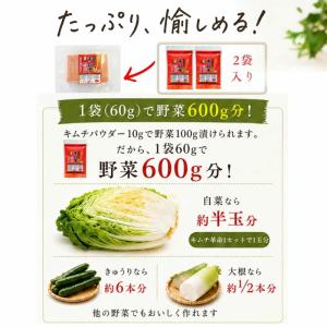 キムチ 無添加 キムチ革命 キムチの素 粉 粉...の詳細画像5