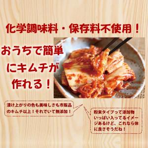 キムチ革命 無添加 無添加キムチパウダー 5袋...の詳細画像4