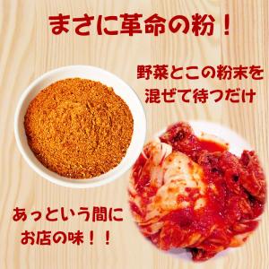 キムチ革命 無添加 無添加キムチパウダー 5袋...の詳細画像5