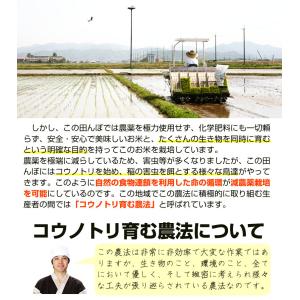 米麹 乾燥 コウノトリ育む米麹2袋セット 30...の詳細画像2