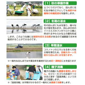 米麹 乾燥 コウノトリ育む米麹2袋セット 30...の詳細画像3