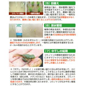 米麹 乾燥 コウノトリ育む米麹2袋セット 30...の詳細画像4