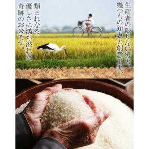 米麹 乾燥 コウノトリ育む米麹2袋セット 30...の詳細画像5