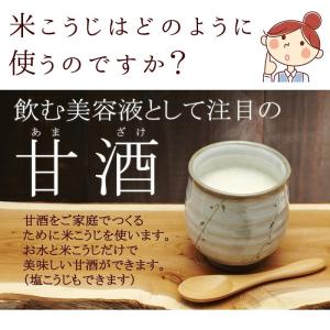 米麹 乾燥 国産米こうじ800g 無添加 乾燥...の詳細画像4