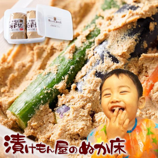 ぬか床 1.6kg 無添加 漬物『ぬか床カンタンお試しセット』  ぬか漬け ぬかみそ 容器 セット ...