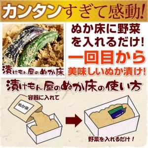 ぬか床 ぬか床800g 1袋 無添加 国産原料...の詳細画像2