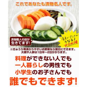 ぬか床 ぬか床800g 1袋 無添加 国産原料...の詳細画像3