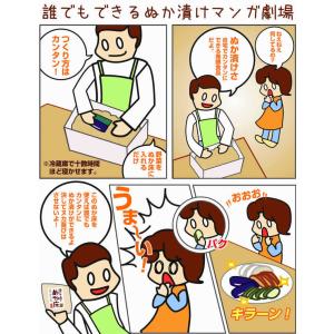ぬか床 ぬか床800g 1袋 無添加 国産原料...の詳細画像4