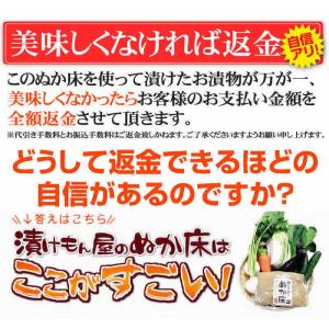 ぬか床 ぬか床800g 1袋 無添加 国産原料...の詳細画像5