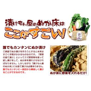 ぬか床 セット ぬか床3.2kg うまみの素超...の詳細画像5