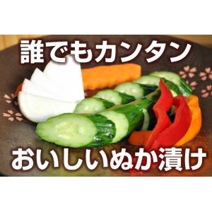 ぬか床 容器 ぬか床ホーローセット 野田琺瑯 ...の詳細画像1