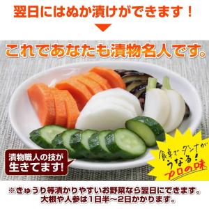 ぬか床 容器 ぬか床ホーローセット 野田琺瑯 ...の詳細画像3