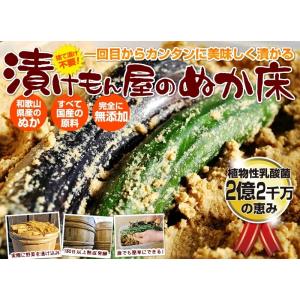 ぬか床 容器 ぬか床ホーローセット 野田琺瑯 ...の詳細画像4