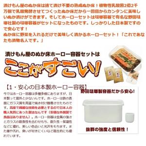 ぬか床 容器 ぬか床ホーローセット 野田琺瑯 ...の詳細画像5