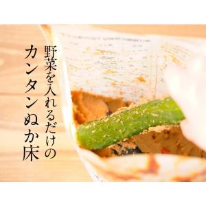 ぬか床 容器 ぬか床スタンドパック 樽の味 漬...の詳細画像1