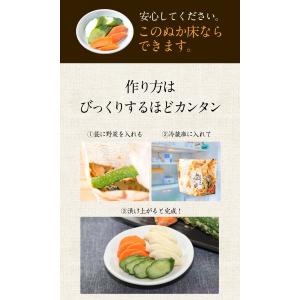 ぬか床 容器 ぬか床スタンドパック 樽の味 漬...の詳細画像5