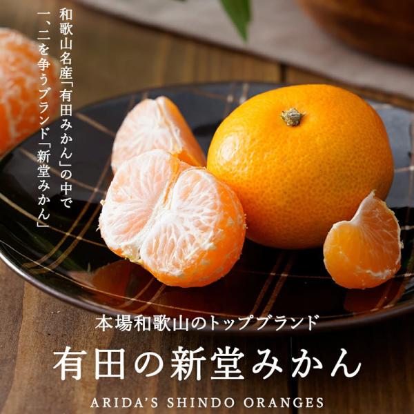 みかん 和歌山 【販売予定期間1月10日まで】『有田の新堂みかん』【直送】早生 S〜M〜L混同5kg...
