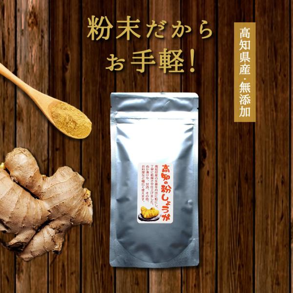 『高知の粉しょうが 50g』 しょうが 高知県産 粉末 無添加 ジンジャー パウダー 人気 おすすめ