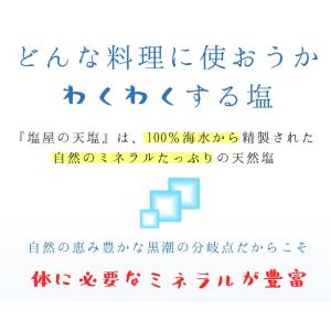 爆買 食塩 無添加 塩屋の天塩2個セット 天日...の詳細画像1