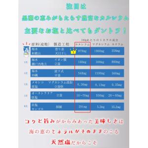 爆買 食塩 無添加 塩屋の天塩2個セット 天日...の詳細画像3