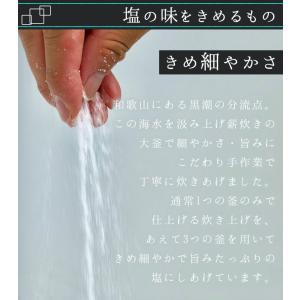 爆買 食塩 無添加 塩屋の天塩2個セット 天日...の詳細画像4