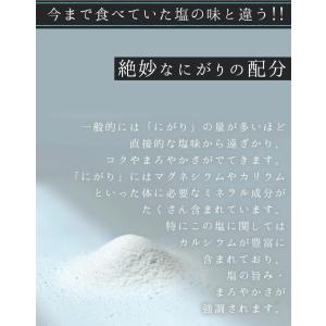 爆買 食塩 無添加 塩屋の天塩2個セット 天日...の詳細画像5
