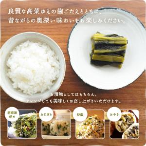 高菜漬け 乳酸発酵の高菜漬(2袋セット) 漬物...の詳細画像4